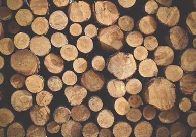Online forhandler af træbriketter og brændetårne til skarpe priser
